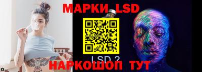 дмт Донской