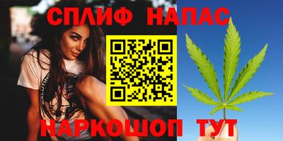 дмт Донской