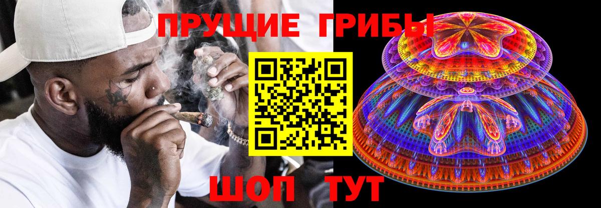 Псилоцибиновые грибы Psilocybe  сколько стоит  Мытищи  Вход с VPN  Псилоцибиновые грибы GOLDEN TEACHER 