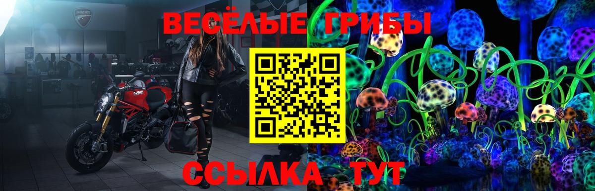 Галлюциногенные грибы GOLDEN TEACHER Мытищи